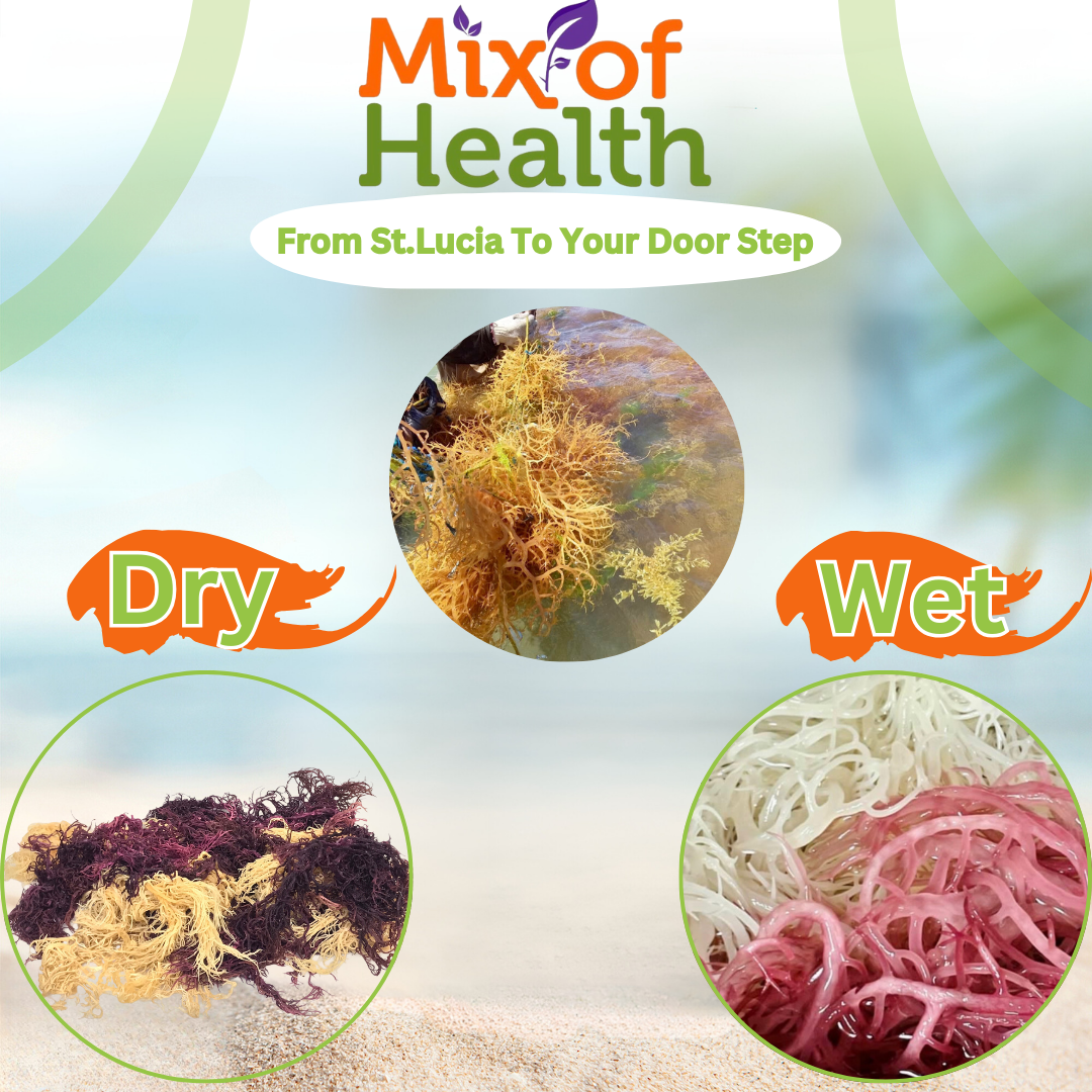 St. Lucia Irish Sea Moss