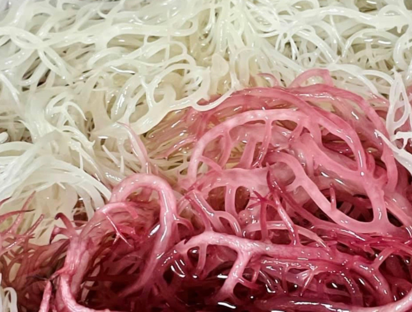 St. Lucia Irish Sea Moss 4 oz Purple & Gold