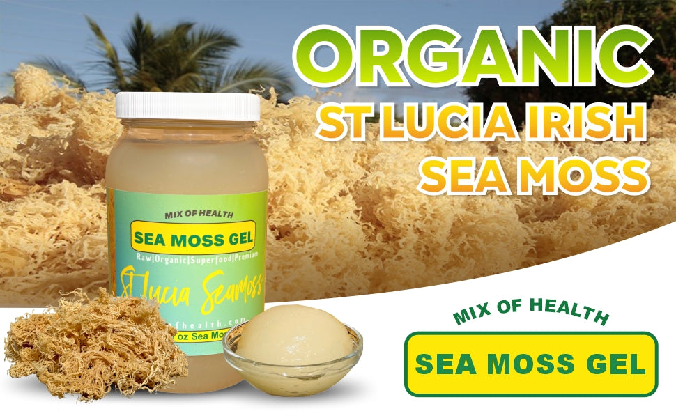 How To Make Sea Moss Gel At Home