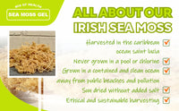 Wildcrafted Irish Sea Moss Gel